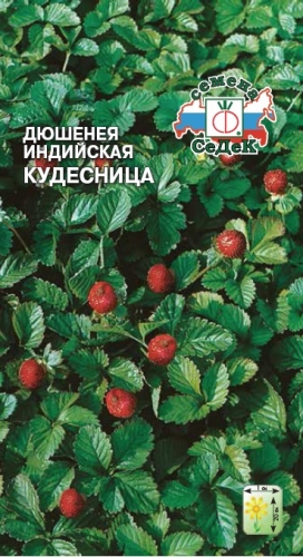 Земляника Дюшинея Кудесница (индийская декоративная)