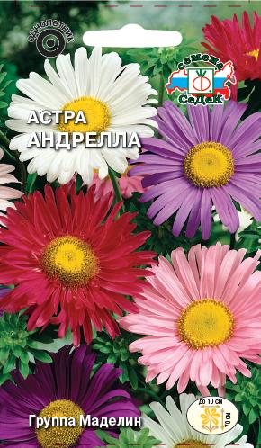 Астра Андрелла