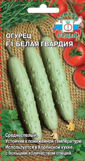 Огурец Белая гвардия F1