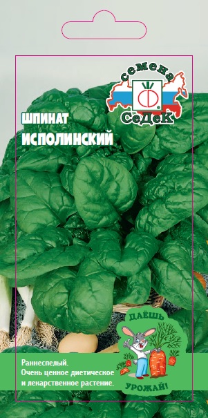 Шпинат Исполинский (ДУ)
