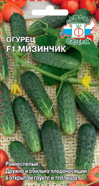   F1