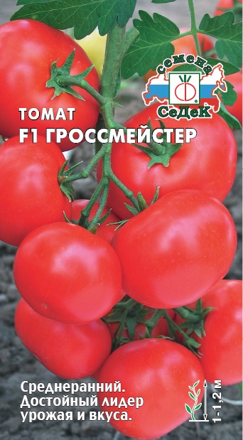 Где В Гомеле Можно Купить Томат Оля