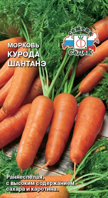 Морковь Курода Шантанэ