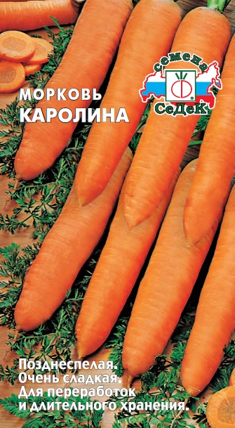 Морковь Каролина