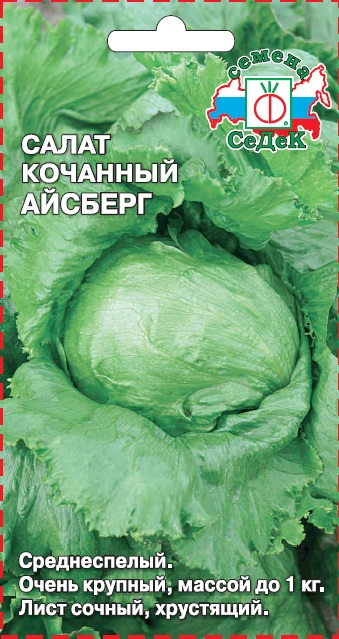 Салат Айсберг