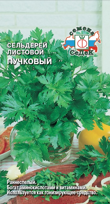 Сельдерей Пучковый