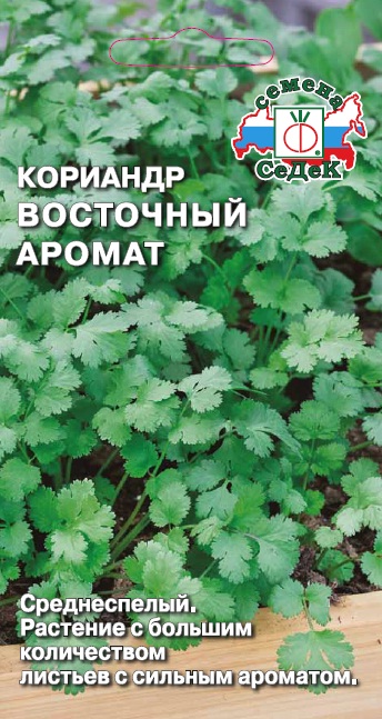 Кинза (кориандр) Восточный аромат