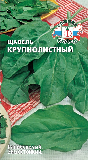 Щавель Крупнолистный