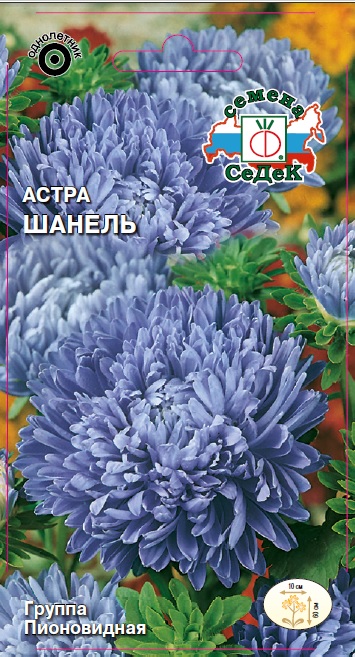 Астра Шанель