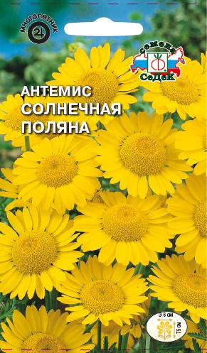 Антемис Солнечная поляна
