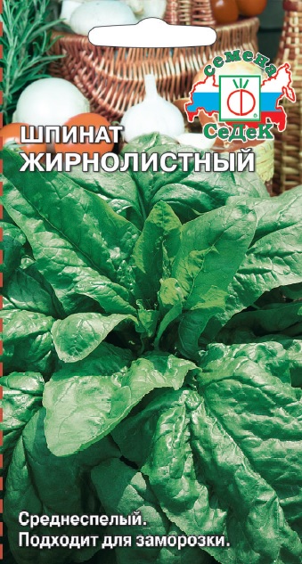 Шпинат Жирнолистный