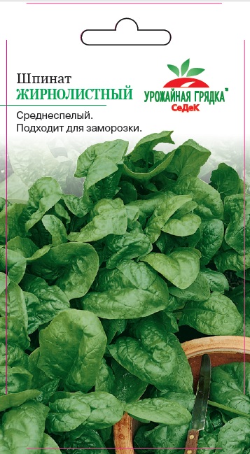 Шпинат Жирнолистный