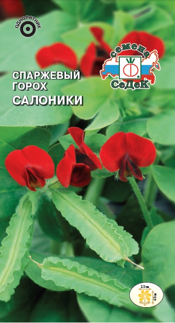 Спаржевый горох Салоники