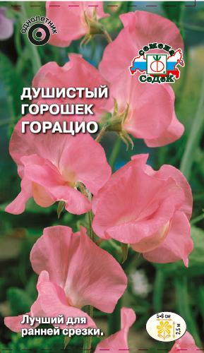 Душистый горошек Горацио