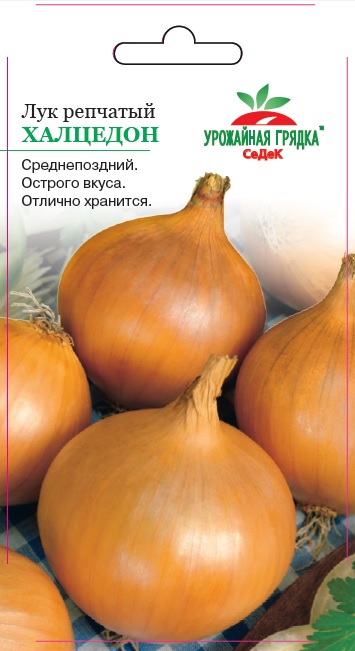 Лук репчатый Халцедон