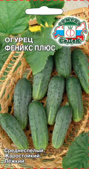 Огурец Феникс Плюс