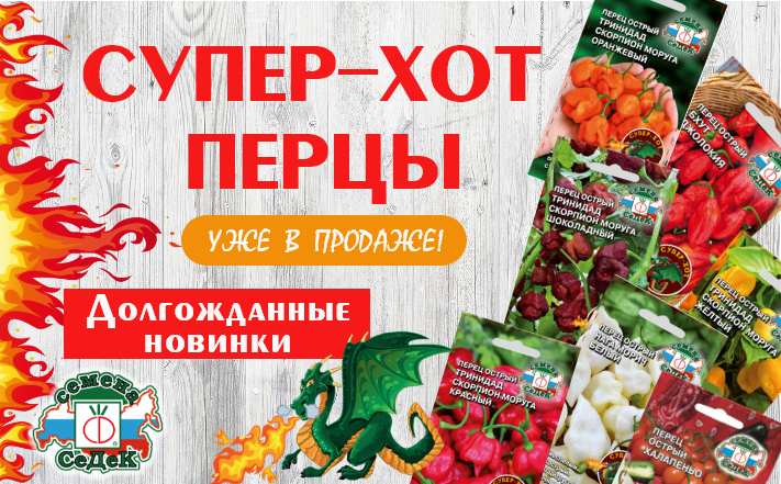 Жгучие новинки уже в продаже! Жгучие новинки уже в продаже!
