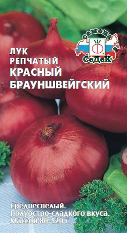 Лук Красный Брауншвейгский