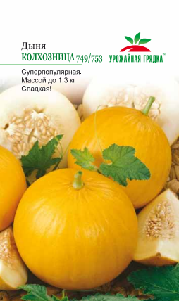 Дыня Колхозница