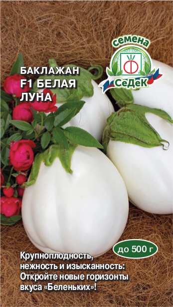 �������� ����� ���� F1