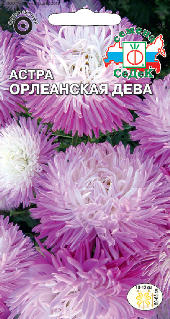 Астра Орлеанская дева