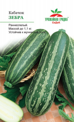 Кабачки Зебра