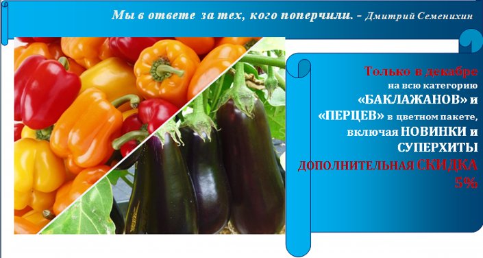 баннер-декабрь.jpg баннер-декабрь.jpg