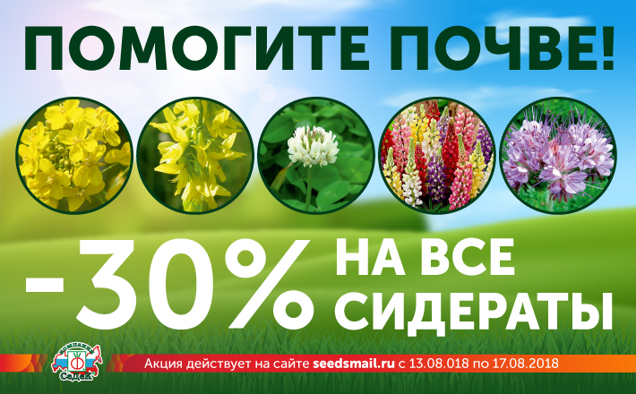 Купить Семена Почтой Рф