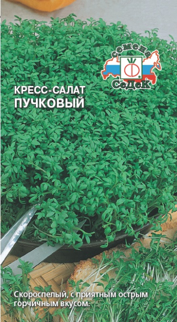 Салат Пучковый