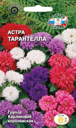 Астра Тарантелла (смесь)