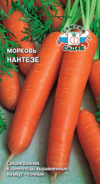Морковь Нантезе