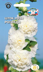 Шток-роза Рогнеда (белая)