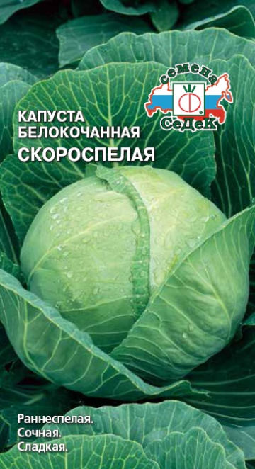 Капуста Скороспелая