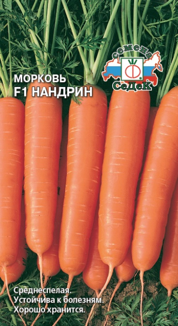 Морковь Нандрин F1