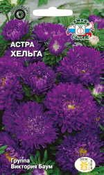 Астра Хельга