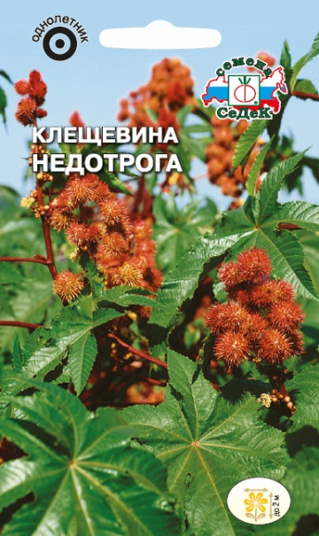 Клещевина Недотрога