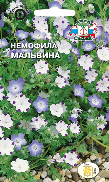 Немофила Мальвина (смесь)