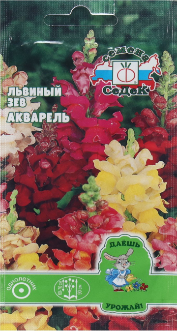 Львиный зев Акварель (высокий, смесь цветов)