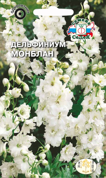 Дельфиниум Монблан