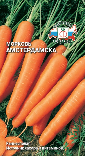 Морковь Амстердамска