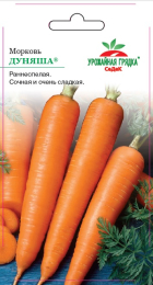 Морковь Дуняша - Урожайная грядка