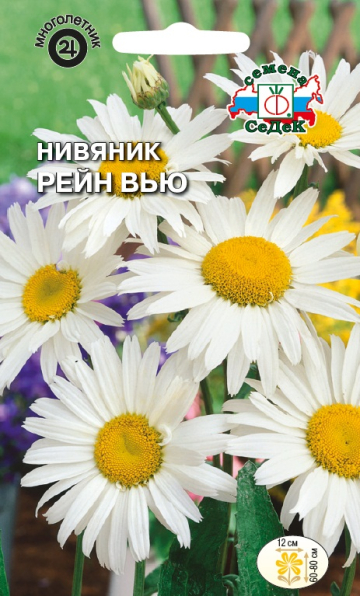 Нивяник Рейн Вью