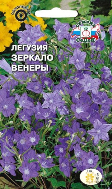 Легузия Зеркало Венеры