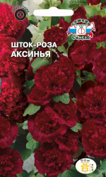 Шток-роза Аксинья