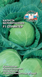 Капуста Спринтер F1 (белокочанная)