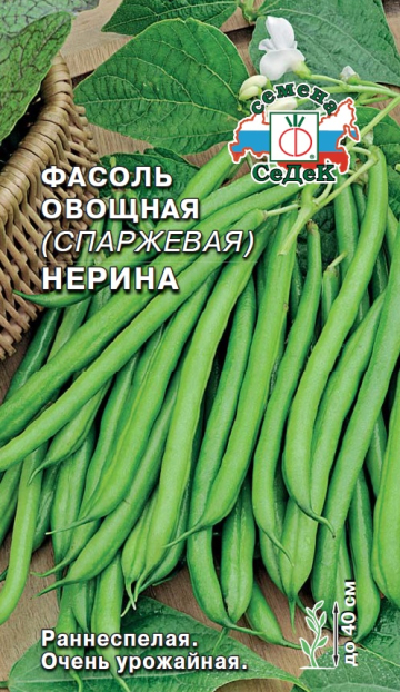 Фасоль Нерина