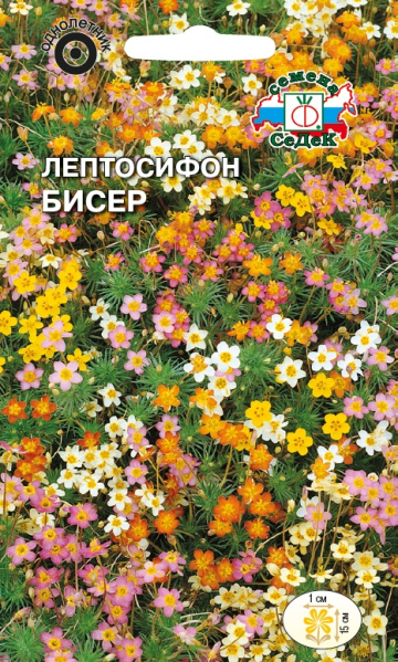 Лептосифон Бисер (смесь)