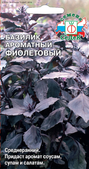 Базилик ароматный Фиолетовый