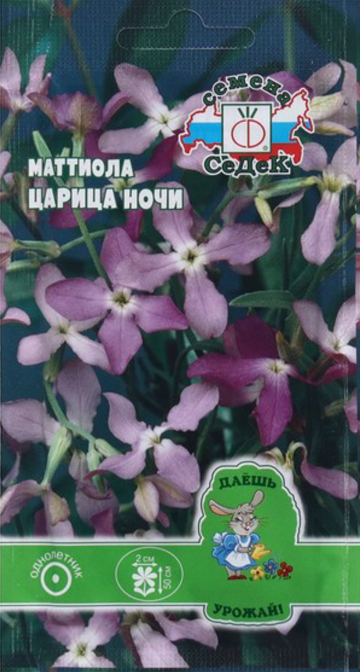Маттиола Царица Ночи (двурогая)