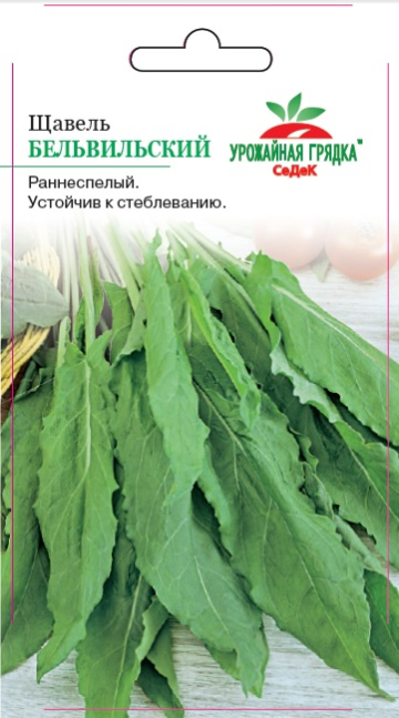 Щавель Бельвильский